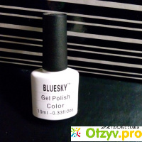 BLUESKY Gel Polish Color 80501 отзывы