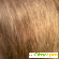 Igora royal краска для волос - Краска для волос - Фото 47491