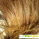 Кератиновое выпрямление волос COCOCHOCO - Средства для укладки волос - Фото 94910