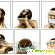 Расчески Men\'s Compact Groomer Tangle Teezer - Разное (красота и здоровье) - Фото 124541