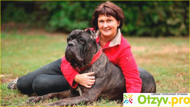 Отзыв о Питомник Гала Глори (Gala Glory)