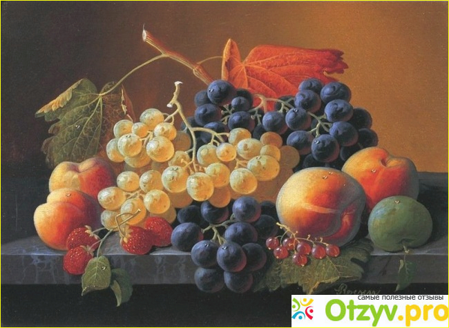 Отзыв о Натюрморт с фруктами