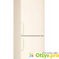 Холодильник с морозильным отделением LG GA-B409UECA отзывы