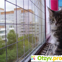 Сетки на окна от кошек отзывы
