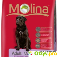 Молина - Adult Maxi отзывы