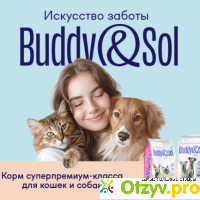 Корм для собак Buddy&Sol отзывы