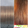 Стойкая крем-краска Palette Perfect care Роскошный уход без аммиака - Краска для волос - Фото 87043