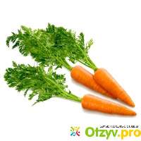 Чем полезна морковь отзывы