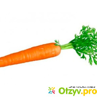Опасные свойства моркови отзывы