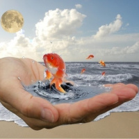 Что сделать чтобы исполнилось желание отзывы