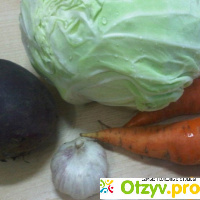 Свекольно-морковно-капустная диета отзывы