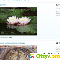 Продажа фото на Etxt.ru отзывы
