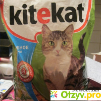 Сухой корм для кошек и котов Kitekat отзывы