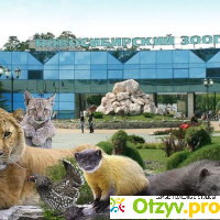 Новосибирский зоопарк (Россия. Новосибирск) отзывы