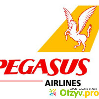 Авиакомпания Pegasus Airlines отзывы