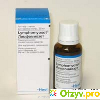 Гомеопатическое средство Лимфомиозот отзывы