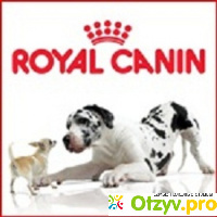 Корм Royal Canin отзывы