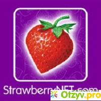 Strawberrynet com отзывы