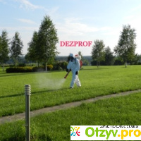 Дезинсекционная компания DezProf отзывы