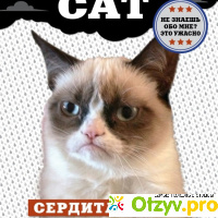 Grumpy Cat. Сердитая книга от самой сердитой кошки в мире отзывы