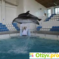 Дельфинарий набережные челны отзывы