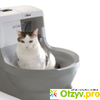 Автоматический туалет для кошки отзывы