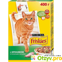 Friskies (Фрискис) сухой корм для взрослых кошек отзывы