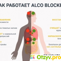 Алко Блокер (Alco Blocker) от алкоголизма отзывы