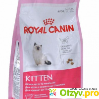 Royal canin kitten отзывы