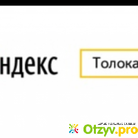 Яндекс толока отзывы