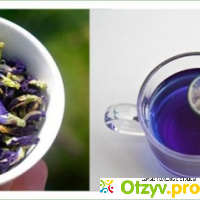 Тибетский пурпурный чай чанг шу отзывы
