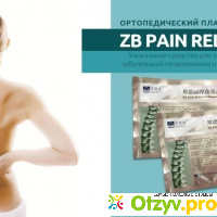 Zb pain relief о пластыре отзывы