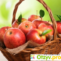 Яблоки: витамины, полезные свойства, вред отзывы
