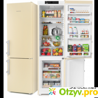 Двухкамерный холодильник Liebherr CUbe 4015 отзывы
