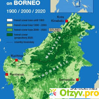 Борнео отзывы туристов отзывы