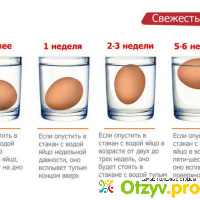 Если яйцо всплыло в воде, то можно ли его есть? отзывы