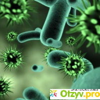 Как отличить вирусную инфекцию от бактериальной? Как определить - вирусная или бактериальная инфекция? отзывы