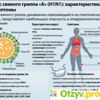 Вирус H1N1: симптомы, лечение и профилактика отзывы