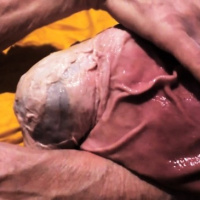 Как вырастить гомункула в домашних условиях: мифы и реальность отзывы