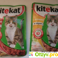 Сочные корма, (паучи), для кошек Kitekat. отзывы