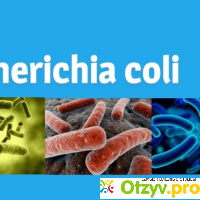 Escherichia coli что это такое отзывы