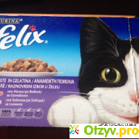 Корм для кошек felix рагу с лососем отзывы