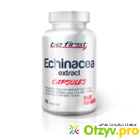 Be First Echinacea extract (Экстракт эхинацеи) capsules 90 капсул отзывы