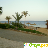Отель «Queen Sharm Resort 4*»  (Шарм-эль-Шейх, Египет) отзывы