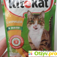 Консервированный корм для кошек Kitekat в желе отзывы