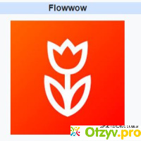 Flowwow отзывы отзывы