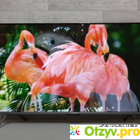 Smart TV 4K UHD SKYWORTH 43G3A AI отзывы