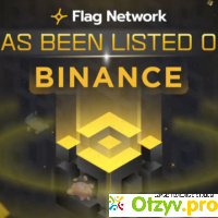 Flag Network Finance отзывы