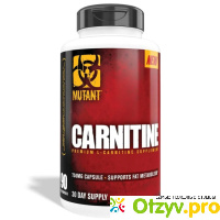 L-Carnitine 90 капсул отзывы