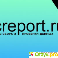 Docreport.ru - онлайн сервис проверки данных о человеке отзывы
